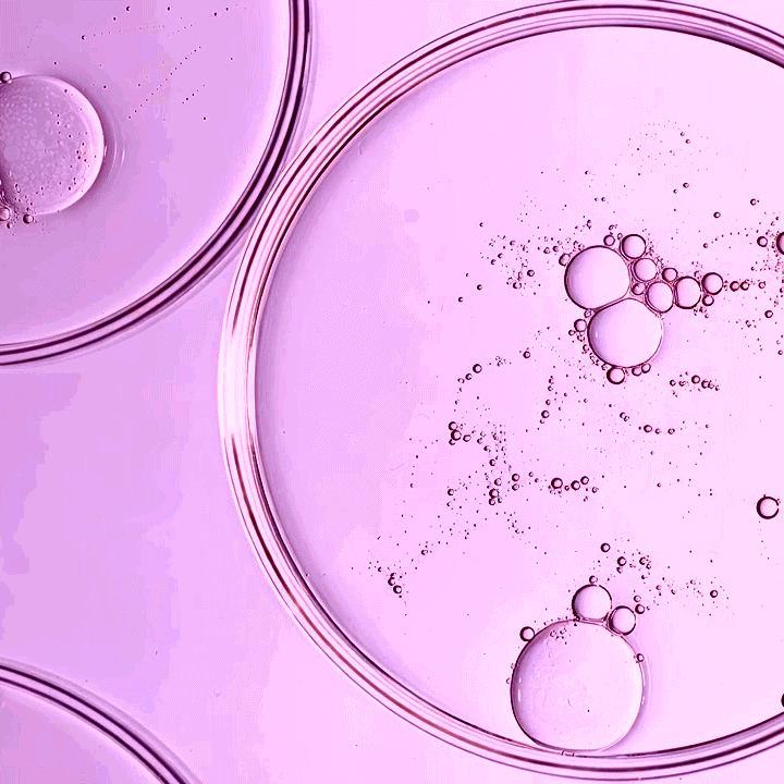 Laboratory Immersion